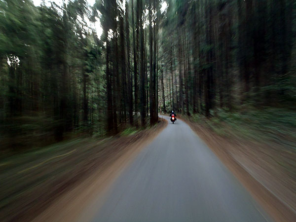 国道２９９号線へ